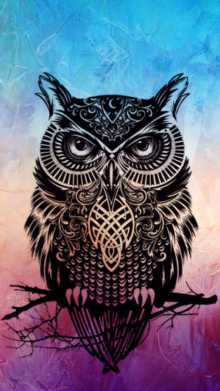 Wallpaper Owl Tumblr - KibrisPDR