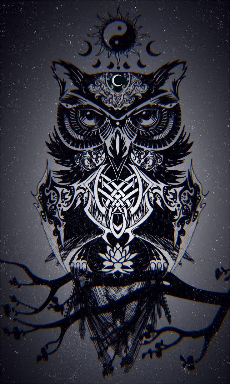 Detail Wallpaper Owl Tumblr Nomer 49
