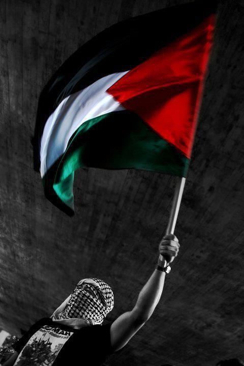 Detail Wallpaper Palestine Hd Nomer 24