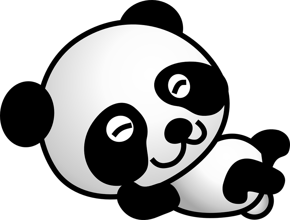 Detail Wallpaper Panda Bergerak Nomer 15