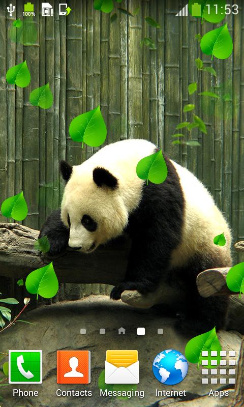 Detail Wallpaper Panda Bergerak Nomer 19