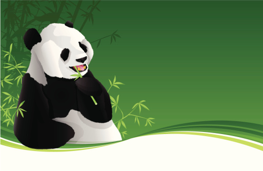 Detail Wallpaper Panda Bergerak Nomer 8
