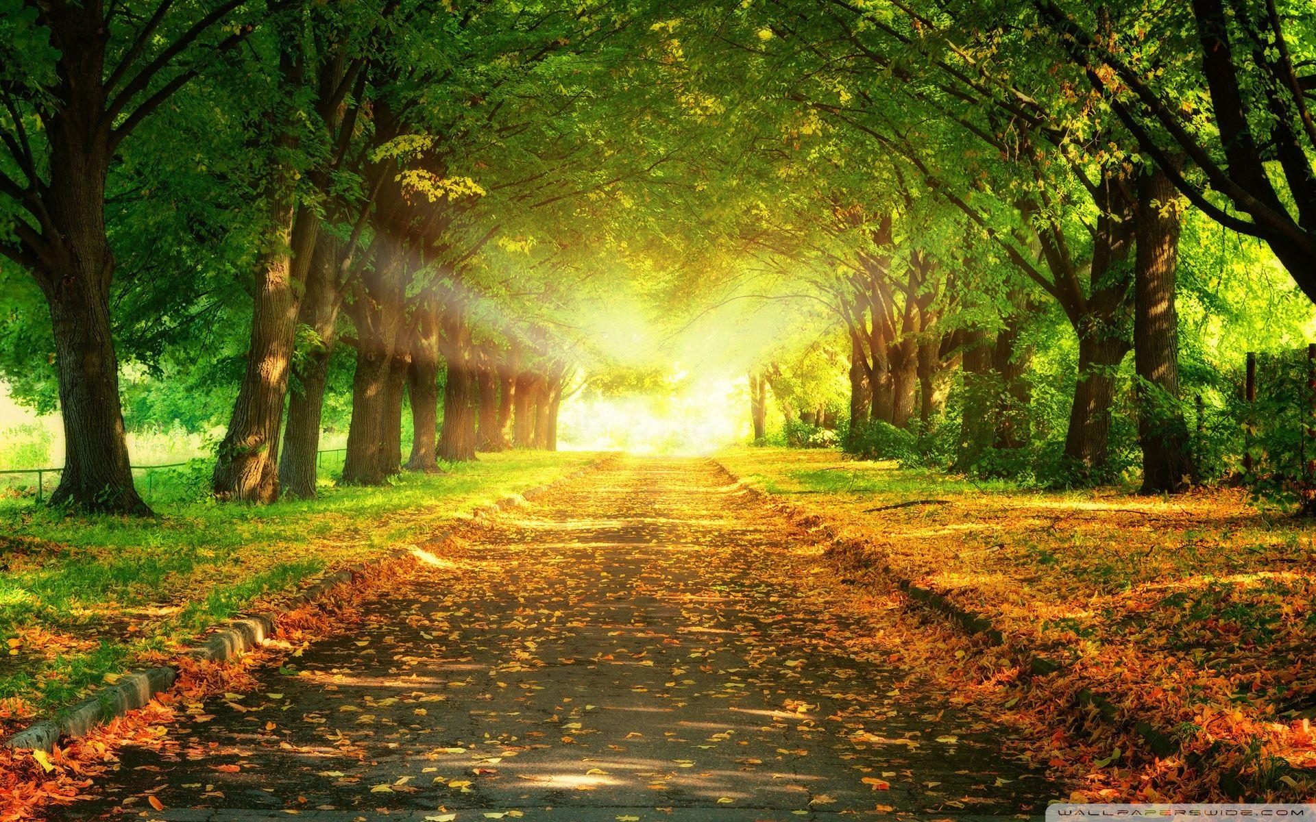 Wallpaper Path - KibrisPDR