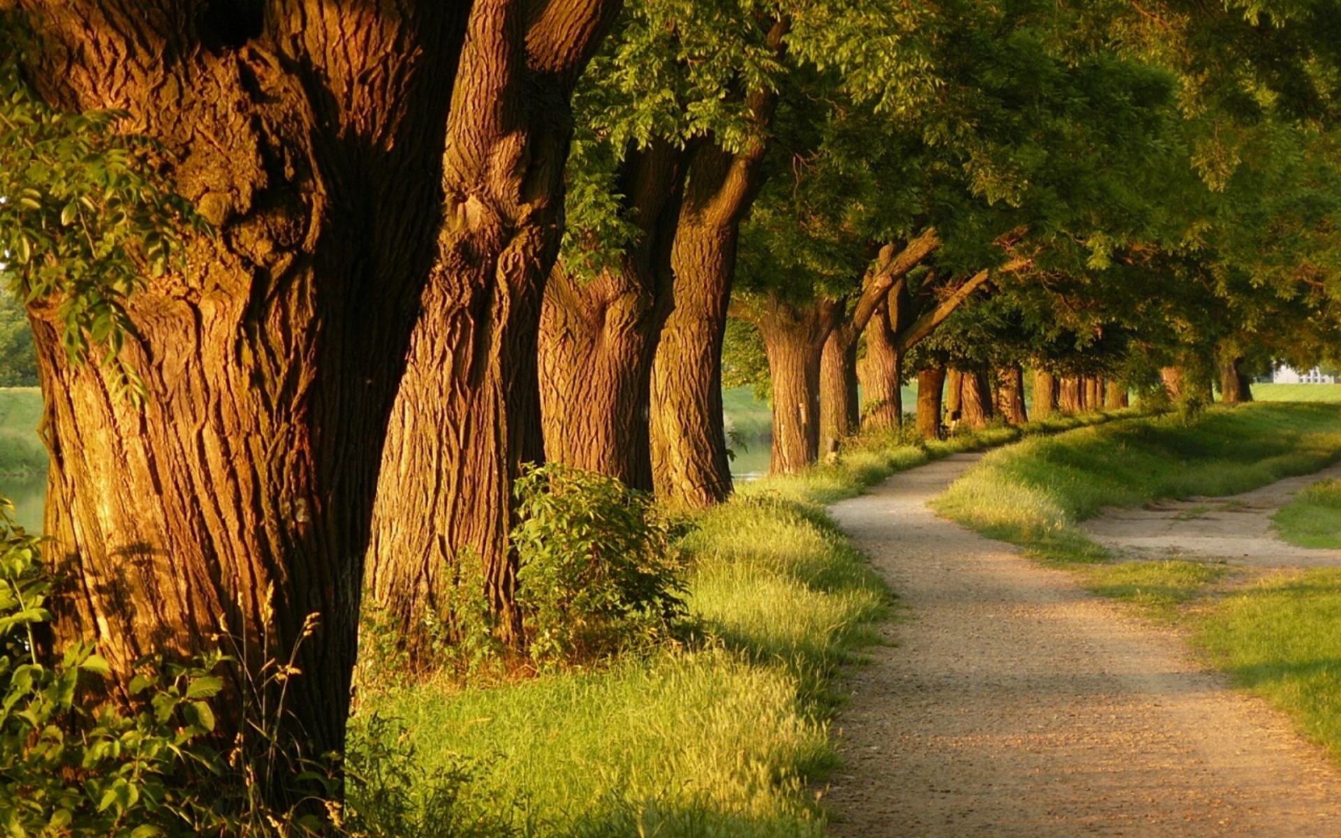 Detail Wallpaper Path Nomer 2