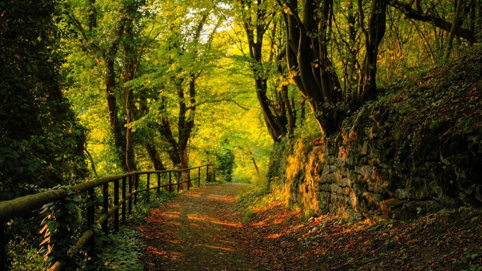 Detail Wallpaper Path Nomer 12