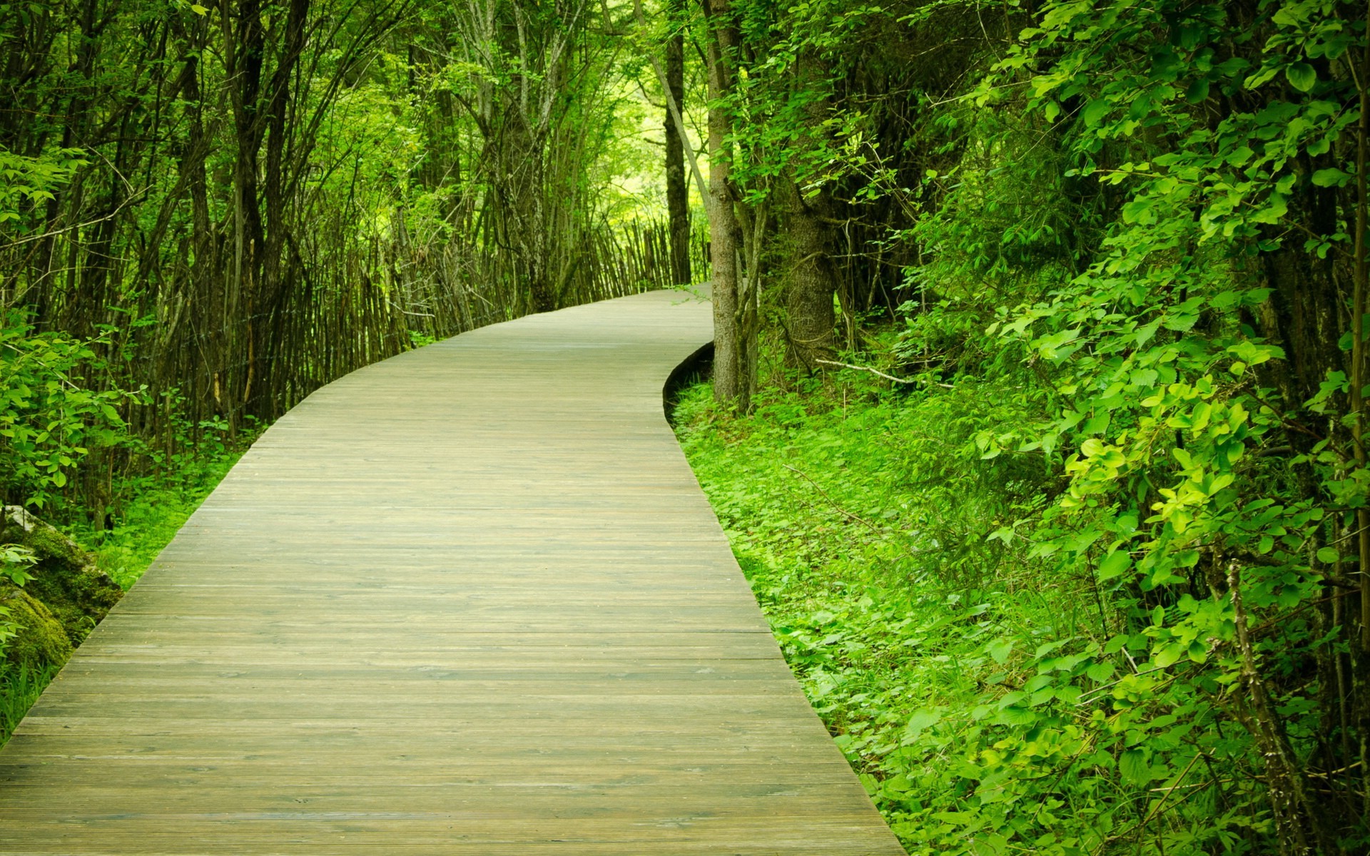 Detail Wallpaper Path Nomer 18