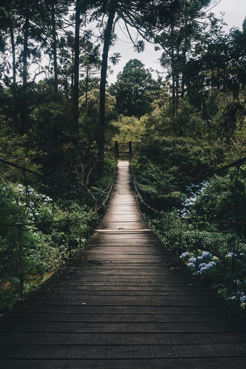 Detail Wallpaper Path Nomer 21