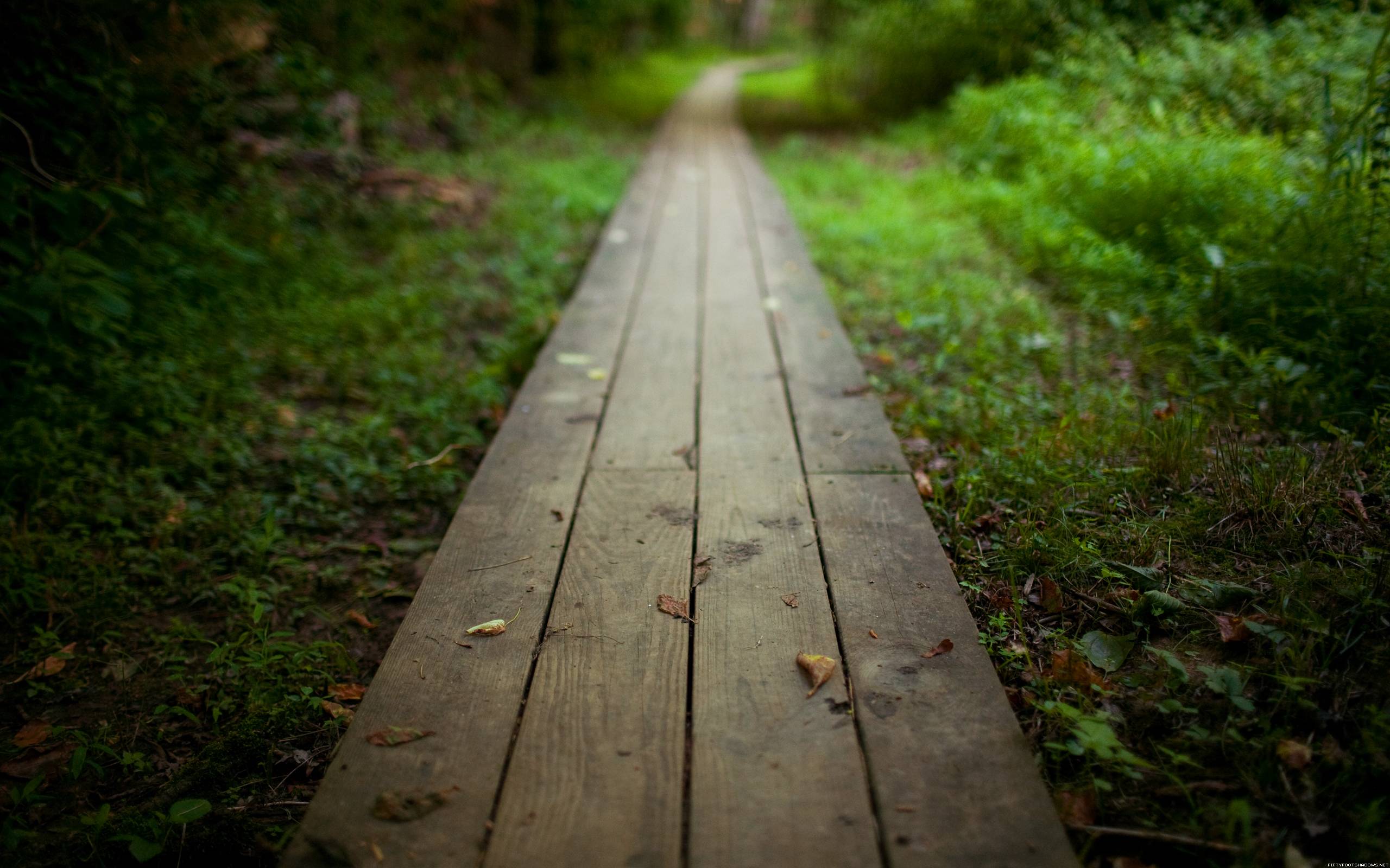 Detail Wallpaper Path Nomer 25