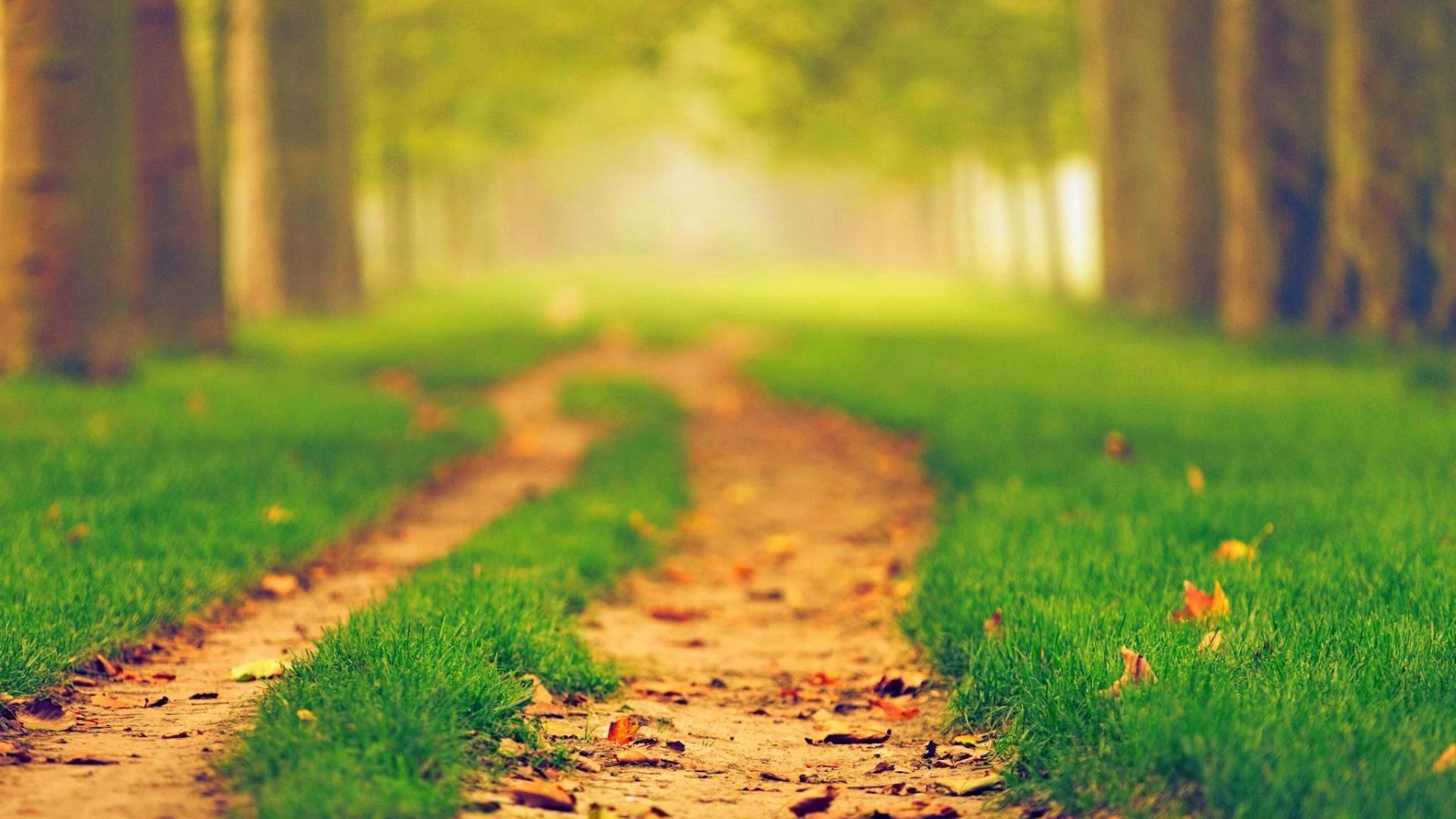Detail Wallpaper Path Nomer 26
