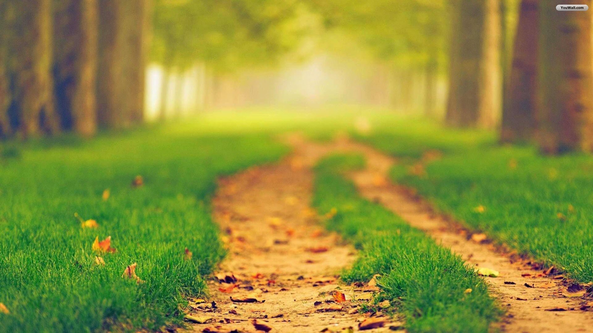 Detail Wallpaper Path Nomer 29