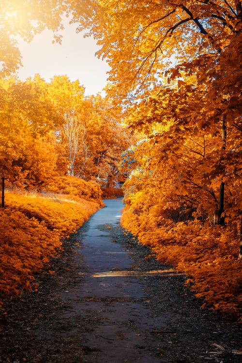 Detail Wallpaper Path Nomer 30