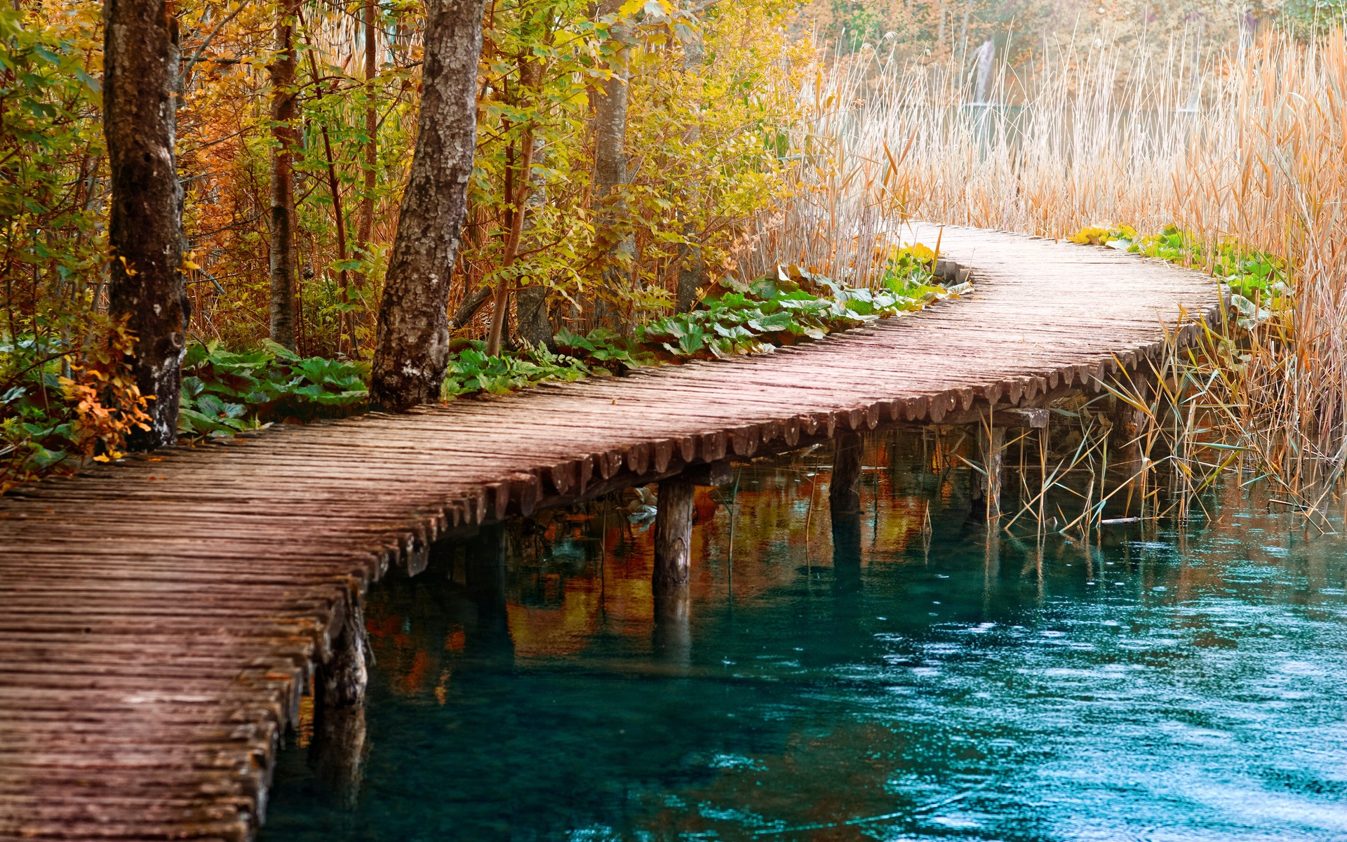 Detail Wallpaper Path Nomer 33