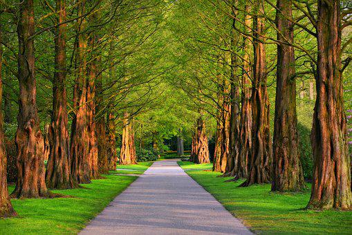 Detail Wallpaper Path Nomer 39