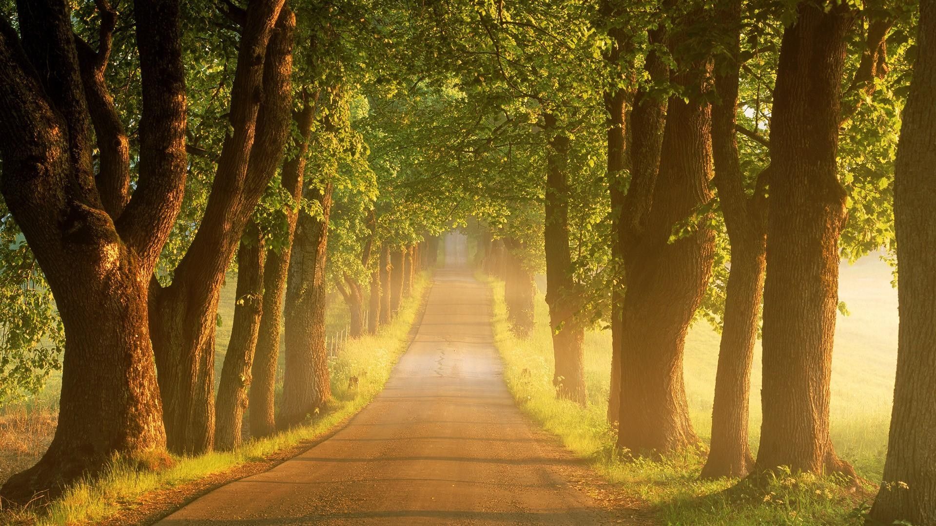 Detail Wallpaper Path Nomer 5