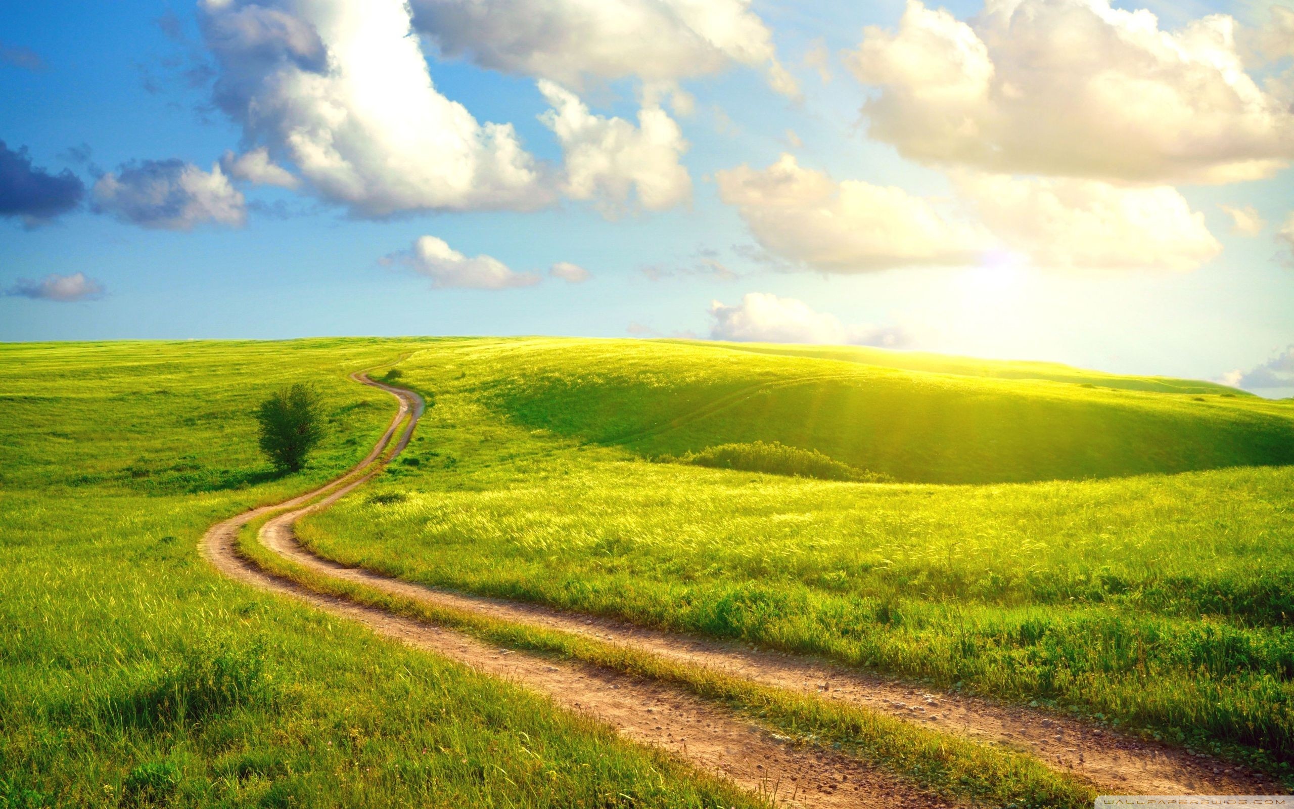 Detail Wallpaper Path Nomer 8