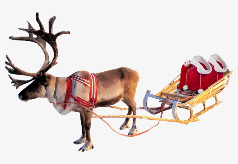 Detail Santa Sleigh And Reindeer Png Nomer 24