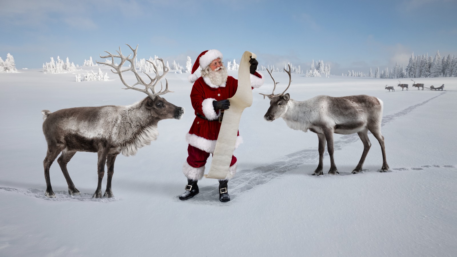 Detail Santas Reindeers Name List Nomer 33