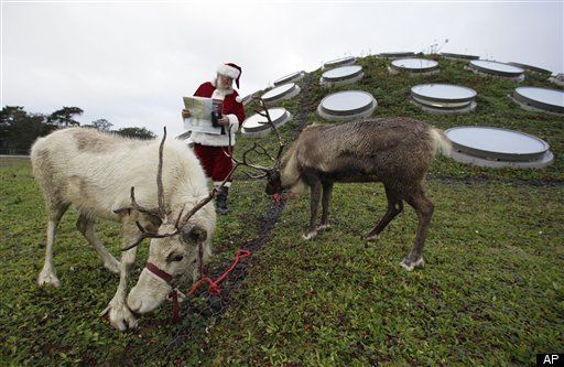 Detail Santas Reindeers Name List Nomer 34