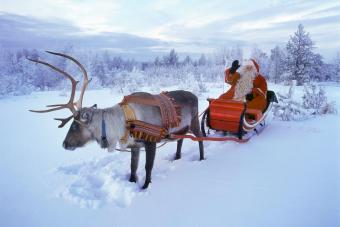 Detail Santas Reindeers Name List Nomer 45