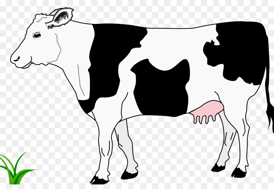 Detail Sapi Background Putih Nomer 13