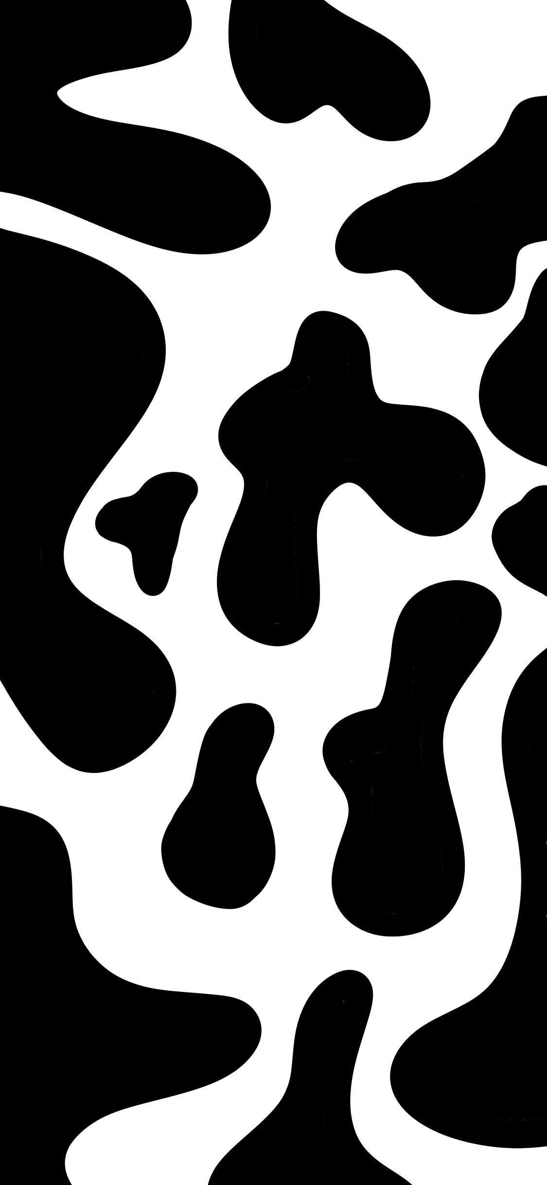 Detail Sapi Background Putih Nomer 43