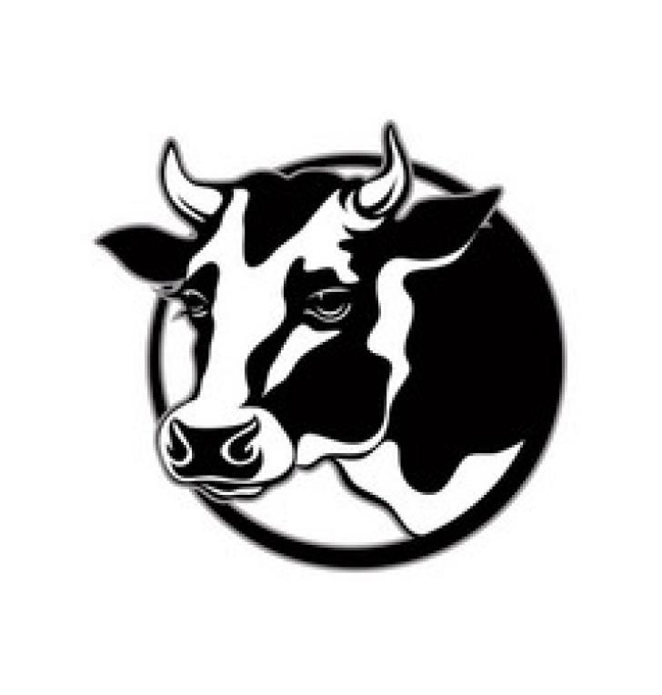 Detail Sapi Background Putih Nomer 46