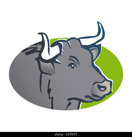 Detail Sapi Background Putih Nomer 48