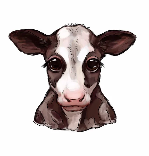 Detail Sapi Background Putih Nomer 51