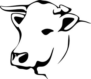 Detail Sapi Background Putih Nomer 56