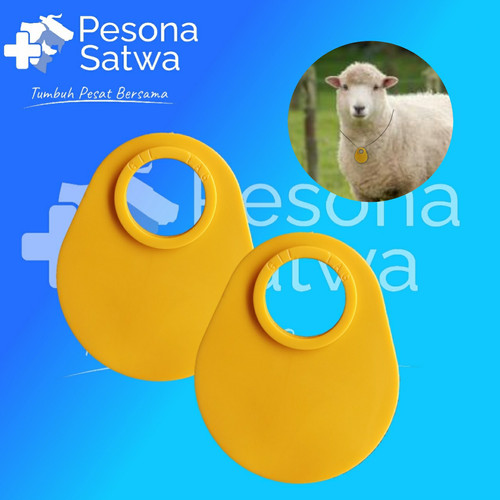 Detail Sapi Dan Domba Nomer 36