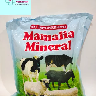Detail Sapi Dan Domba Nomer 38