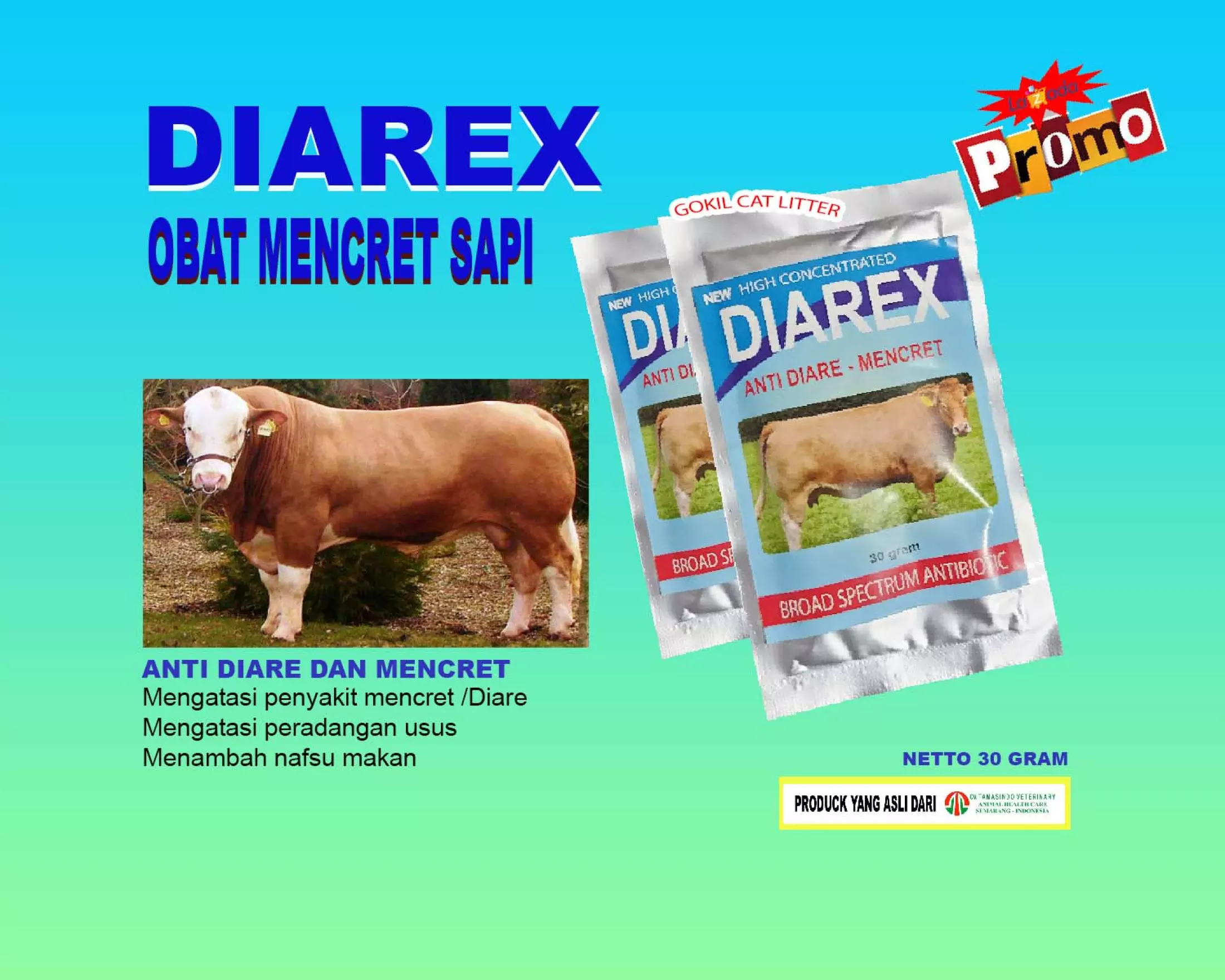 Detail Sapi Gokil Nomer 32