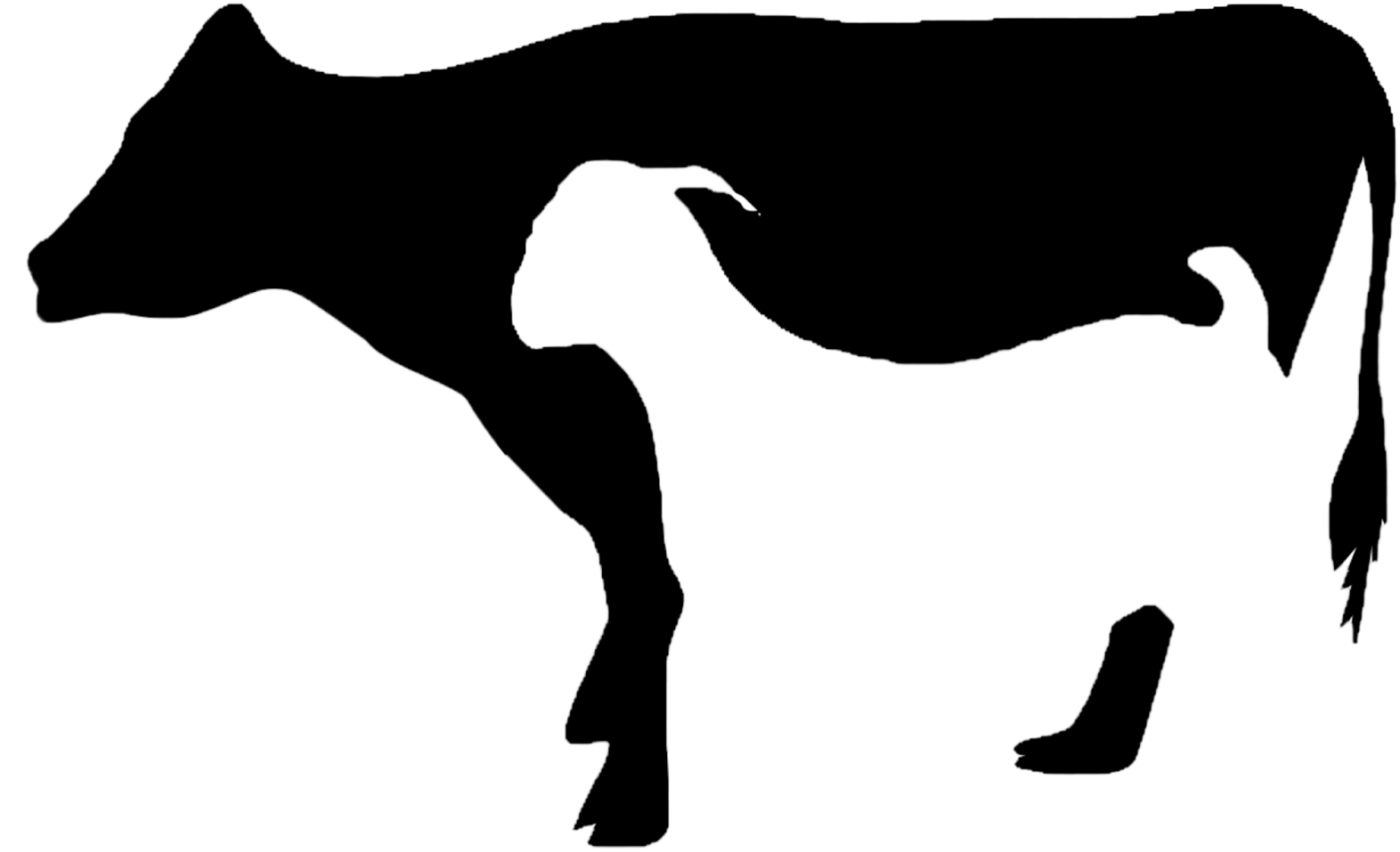Detail Sapi Kambing Vector Nomer 2
