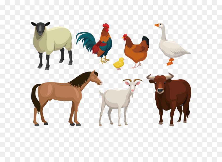 Detail Sapi Kambing Vector Nomer 11