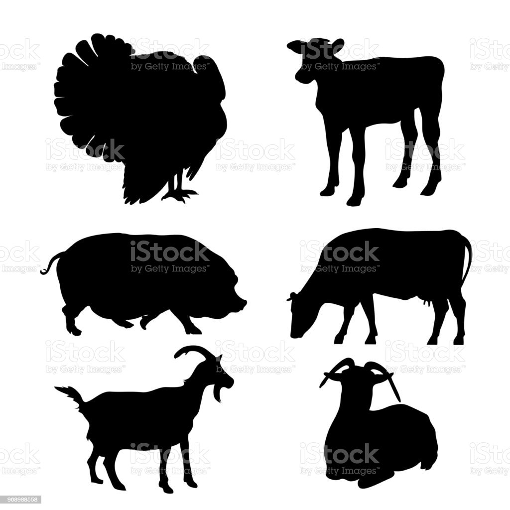 Detail Sapi Kambing Vector Nomer 12
