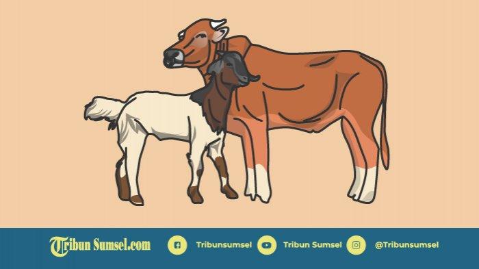 Detail Sapi Kambing Vector Nomer 16
