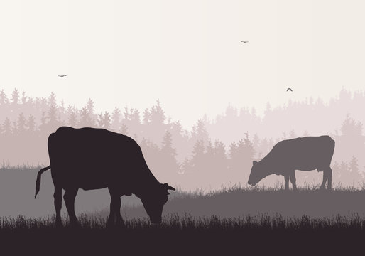Detail Sapi Kambing Vector Nomer 20