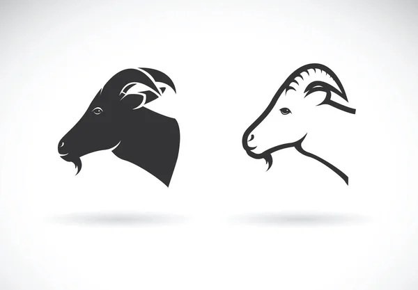 Detail Sapi Kambing Vector Nomer 28