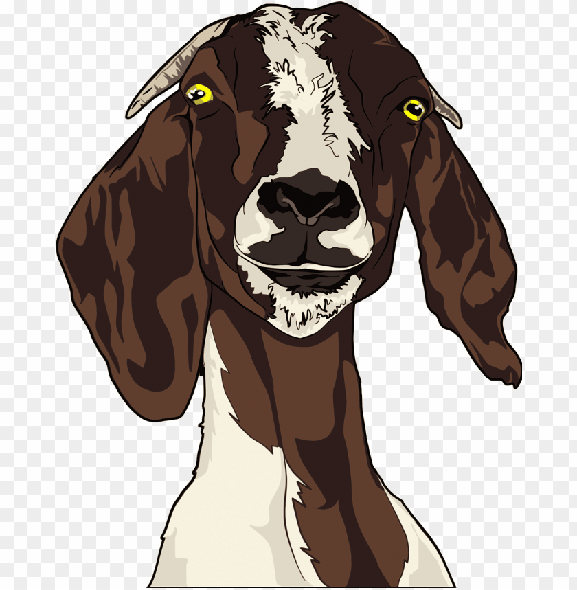 Detail Sapi Kambing Vector Nomer 4