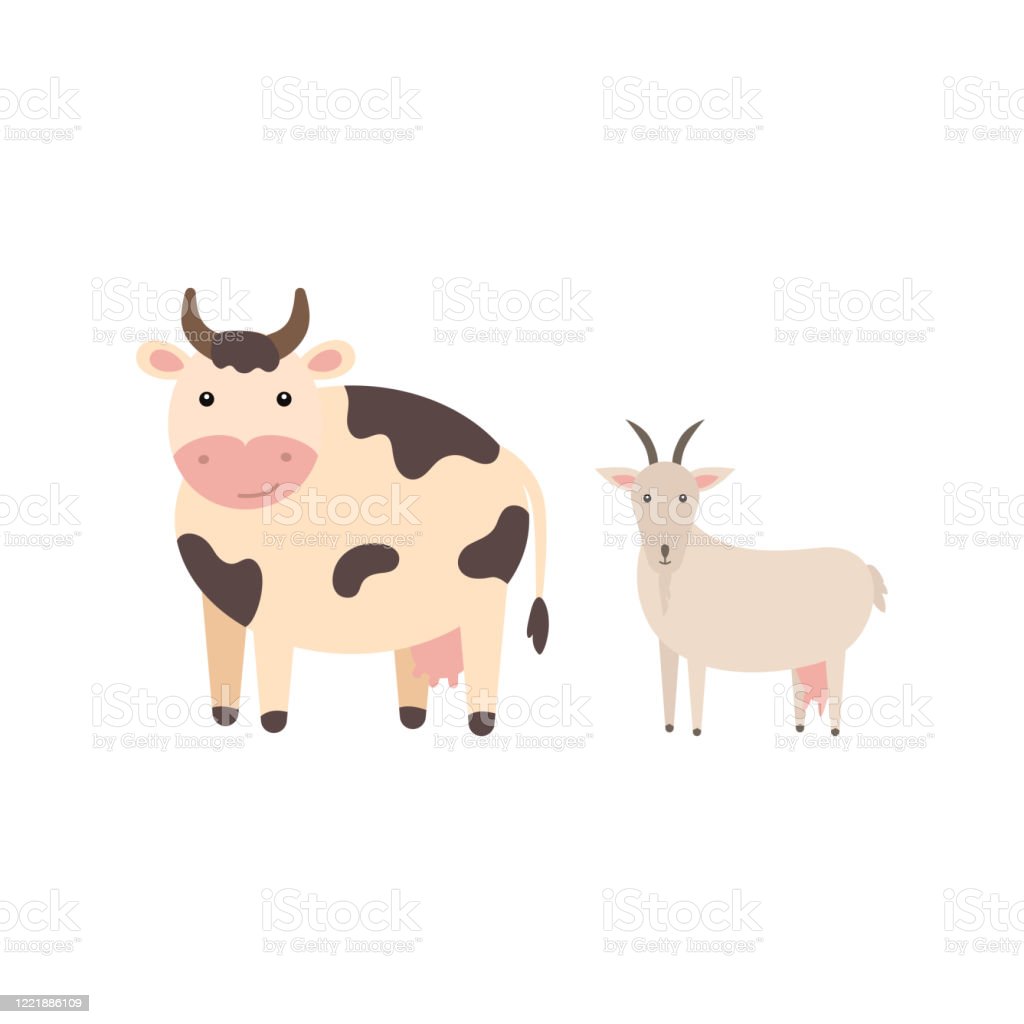 Detail Sapi Kambing Vector Nomer 34