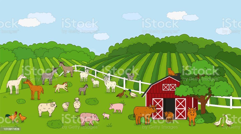 Detail Sapi Kambing Vector Nomer 37