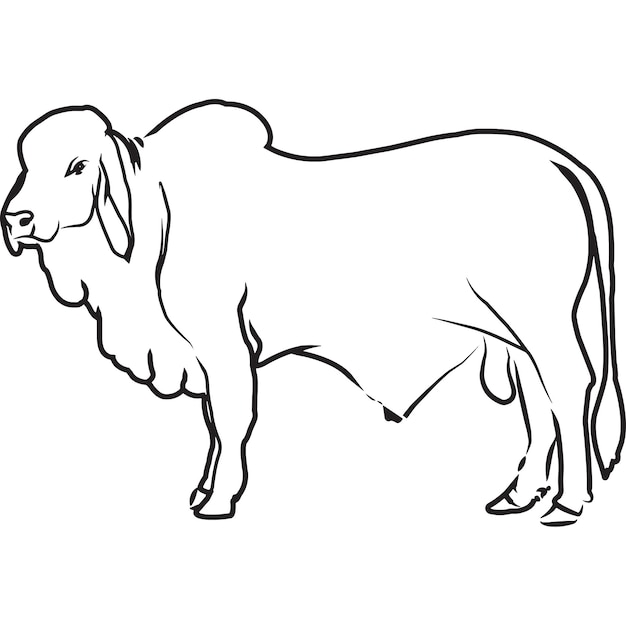 Detail Sapi Kambing Vector Nomer 39