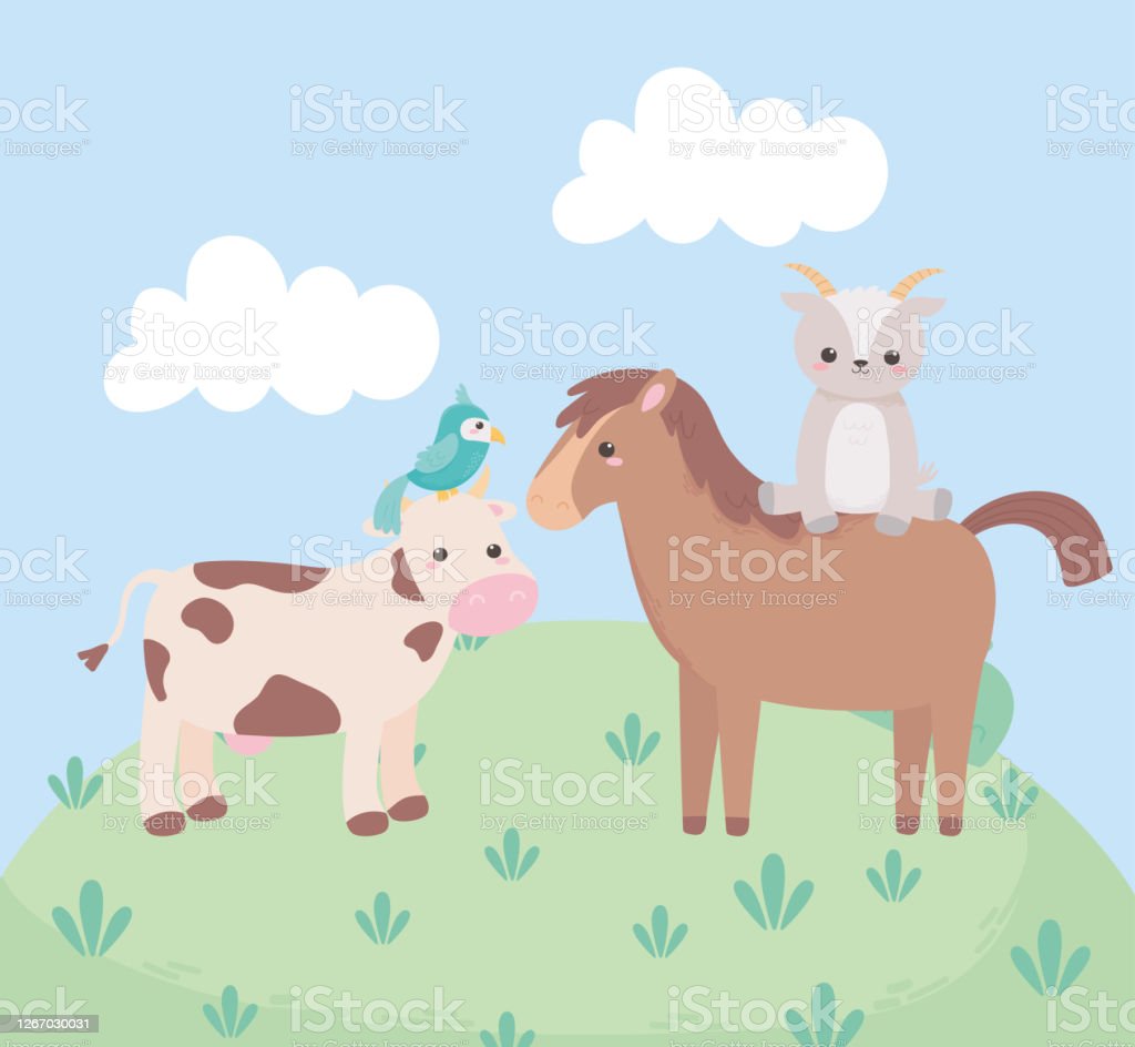 Detail Sapi Kambing Vector Nomer 41