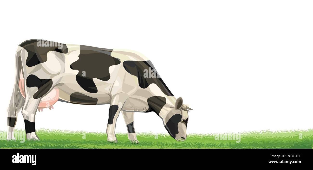 Detail Sapi Kambing Vector Nomer 52