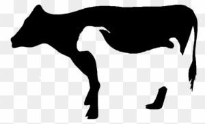 Detail Sapi Kambing Vector Nomer 9