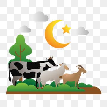 Detail Sapi Kurban Vector Nomer 13