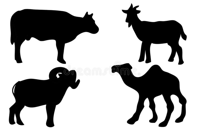 Detail Sapi Kurban Vector Nomer 14