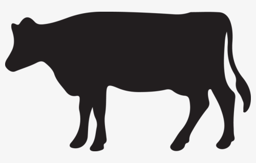 Detail Sapi Kurban Vector Nomer 18