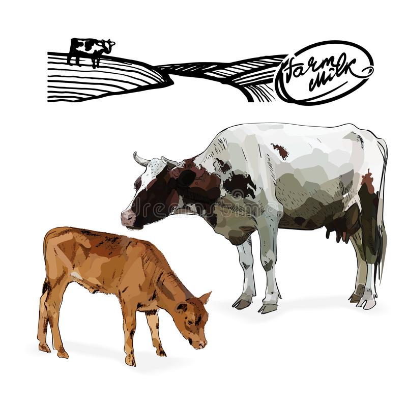 Detail Sapi Kurban Vector Nomer 19