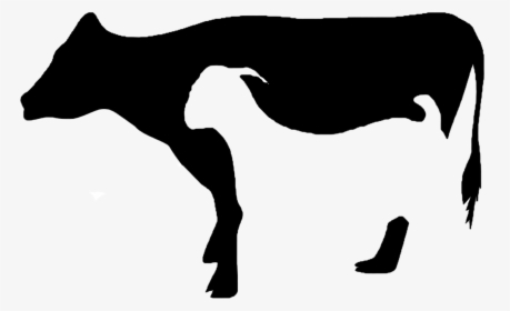 Detail Sapi Kurban Vector Nomer 3